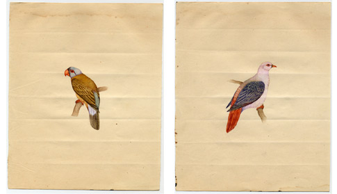 http://lenarevenko.com/blog/files/03-birds.jpg
