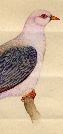http://lenarevenko.com/blog/files/03-birds2.jpg