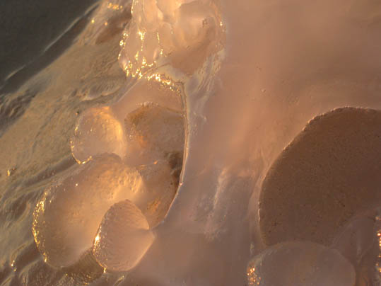 http://lenarevenko.com/blog/files/meduza1.jpg