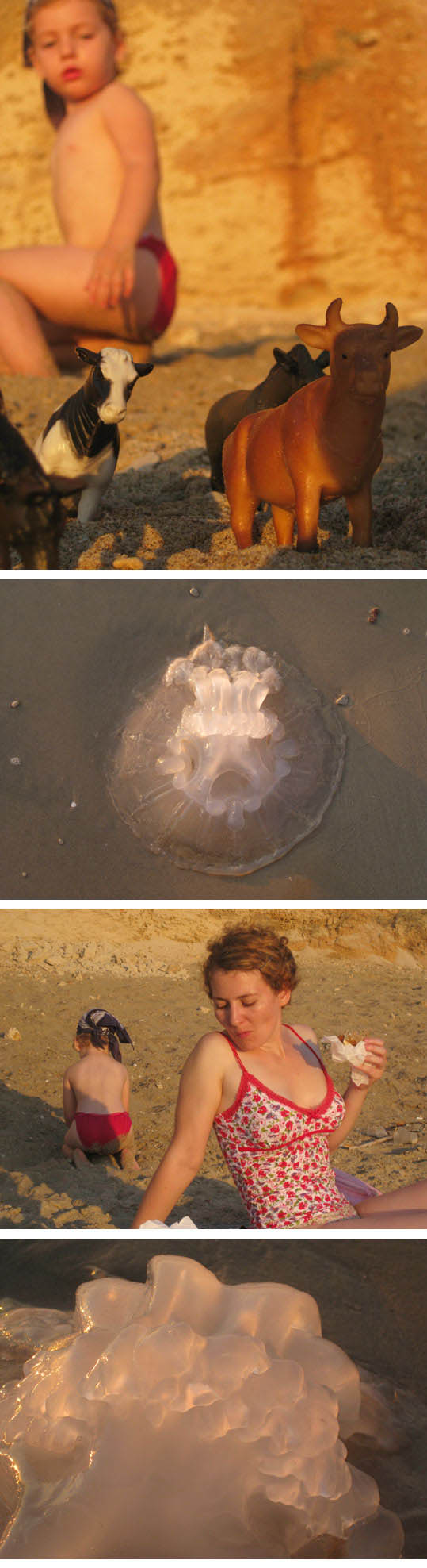 http://lenarevenko.com/blog/files/meduza2.jpg